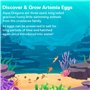 Aqua Dragons Underwater World Compact Kit Educational STEM Toy,Aquarium Set,Grow Easy Pet for Kids Comprend un réservoir,de la n