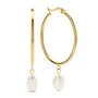 Boucles d´oreilles Femme CO88 Collection 8CE-70428 Doré