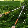 Recalma Sécateur télescopique, longueur du manche 50-82 cm, acier trempé de précision, coupe les branches plus épaisses que 44 m