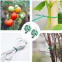 Liens de Jardinage pour Ligatures, 2 Rouleaux (100m par Rouleaux) Fil de Fer Jardin Vert, Attaches de Jardin pour Plantes Polyva