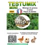 Graines de fleurs Testumix Mini pour tortues
