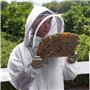 Costume de D'Apiculteur Totale pour Unisexe