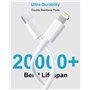 Câble USB C vers Lightning 1M-Lot de 2, [Certifié MFi] Cable iPhone USB C Cable Chargeur USBC Câble Lightning Cable Charge Rapid