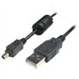 MPF Products Câble de données USB U-4 U4 de rechange compatible avec certains appareils photo numériques Kodak Easyshare (modèle