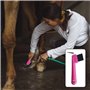 UOPJDD 3 Morceaux De Pinceau en Fer À Cheval, Outils De Nettoyage en Fer À Cheval, Fournitures De Soins des Sabots, Fournitures