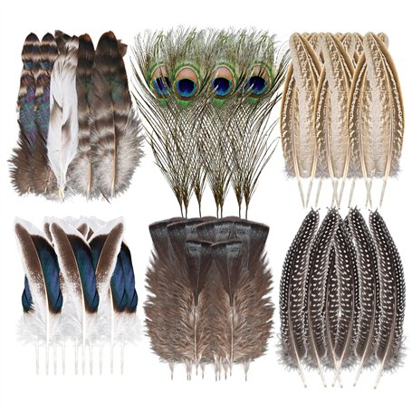 TNEDFOD 48 Pièces Plume Decoration