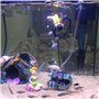 Décorations d'Aquarium d'Aération en Direct Noir