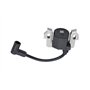 Hippotech Bobine d'allumage de rechange pour Honda GC135 GC160 GC190 GCV135 GS160 GSV160 GSV190 pour moteur HRS216 HRB216 HRR216