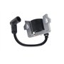 Hippotech Bobine d'allumage de rechange pour Honda GC135 GC160 GC190 GCV135 GS160 GSV160 GSV190 pour moteur HRS216 HRB216 HRR216