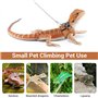 Harnais et Laisse pour Dragon Barbu,3 Tailles Réglables,Accessoires pour Reptiles et Lézards avec Laisse de 5,4 Pieds pour Drago