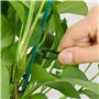 KAHEIGN 200 Pièces Clips De Vigne Végétale, 2 Taille Clips De Support pour Plantes Clips De Fixation De Vigne pour Support De Ti