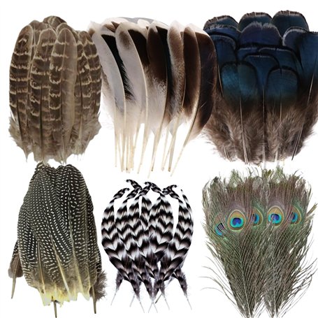 LUMOOM Lot de 48 plumes naturelles pour bricolage