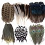LUMOOM Lot de 48 plumes naturelles pour bricolage