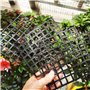 duozoanz Grille Protection Pot Fleurs Cache - Découpables Protecteur Aavec Piquets pour L'Intérieur et L'Extérieur Protéger Les