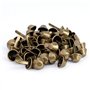 50pcs Rivets Goujon Clou