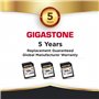 Gigastone A2 V60 Carte Mémoire SDXC 512 Go, 4K Caméra Pro Série, Vitesse 150 Mo/s. Compatible avec Caméra Canon Nikon Sony Panas