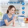 Waterdrop Cartouche de Filtre à Eau, Remplacement pour Brita® Maxtra+® Plus, Maxtra Pro® All-in-1, Compatible avec Brita® Carafe