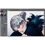 CLIP STUDIO PAINT EX - Version 1 - Perpetual License - for Microsoft Windows and MacOS