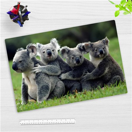 Sous-main pour enfants et adultes - Famille Koala - Accessoire Bureau