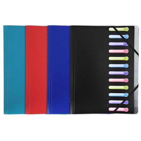 Exacompta - Réf. 55180E - 1 trieur Opak - 3 rabats - avec élastiques et fenêtres découpées - couverture et intérieur en PP - 12