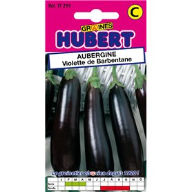 Graines d'Aubergine Violette de Barbentane - 0,5 grammes Graines d'Aubergine Violette de Barbentane - 0
