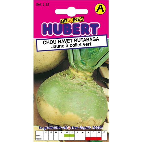 Graines de Chou Navet Rutabaga Jaune à collet vert - 5 grammes