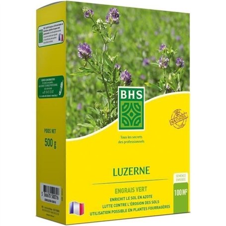 Luzerne - BHS - 500g | 100 m² | Améliore le sol