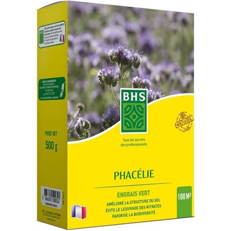 Phacélie - BHS - 500g | 100 m² | Croissance rapide
