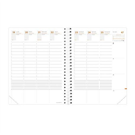 Quo Vadis - Recharge Agenda - Spiralé - 2025 - Time & Life Xlarge - Semainier Planning - Français - 13 mois de décembre à décemb