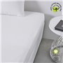 Drap housse - TODAY - 180 x 200 cm + 30 cm - Coton - Organic Craie