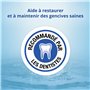CB12 - Bain de bouche - Soin gencives - Combat la mauvaise haleine pendant 12 heures - Aide à restaurer et maintenir des gencive