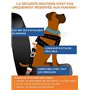 Laisse Ceinture de Sécurité pour Chien, avec Absorption des Chocs et Mousqueton. Réglable. pour Tout Type de Voiture. pour Tous