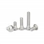 cyclingcolors 10x Vis à Tête Bombée Collet Carré DIN 603 Acier Inoxydable A2 Boulon Tête Ronde Plate Champignon Métrique, M5x60m