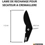 Greentech - Lot de 2 Lames de Rechange pour Sécateur de Jardin à Crémaillère - 2 Ressorts - Accessoires de Montage - Lame et Res