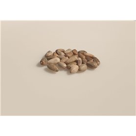 25 graines à semer - Le Grenier d'Abondance - ARTICHAUT Vert de Laon - Cynara cardunculus