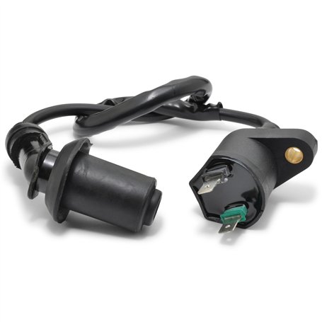 Easyboost Bobine d'allumage antiparasite Fil de Bougie pour 50cc GY6 4T 139QMB Baotian BT49QT