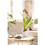 LECHUZA Jardiniere ORCHIDEA ALL-IN-ONE Blanc mat