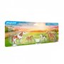 Playmobil 71000 2 poneys islandais et poulains - Country - avec Quatre Chevaux et du Foin - Univers Equitation Animaux - Animaux