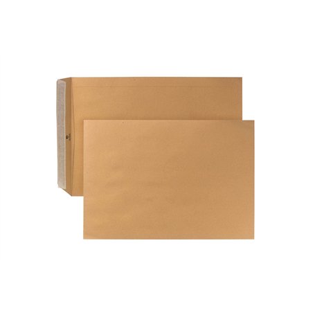 Cor postal 04490347 Livraison Housse Pack de 250 enveloppes à patte autocollante
