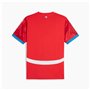 T-shirt à manches courtes homme Puma Repúplica Checa 2024