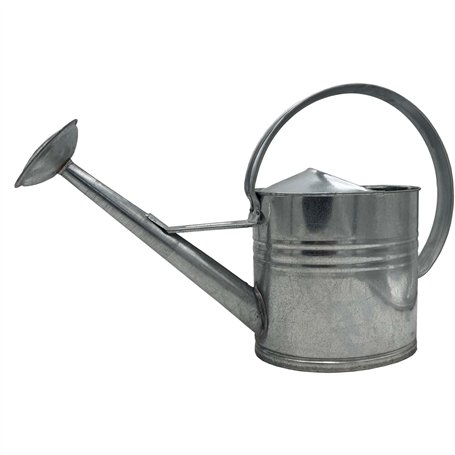 Arrosoir en zinc galvanisé Argenté 10 l