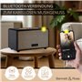 Bennett & Ross BB-860BK Blackmore Haut-Parleur Bluetooth rétro en Cuir - Haut-Parleur Vintage avec 2X 30W - Speaker Entrée USB a