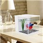 Hausdec Aquarium Facile à Changer en Acrylique Plastique Autonettoyant (Blanc)