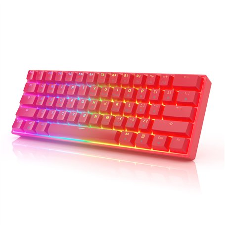 HK Gaming GK61 Clavier mécanique de Jeu | 61 RGB Rainbow LED | Capuchons ABS doublehot | Commutateurs optiques Bleus Hotswap gat