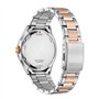 Citizen Watch AW1756-89A