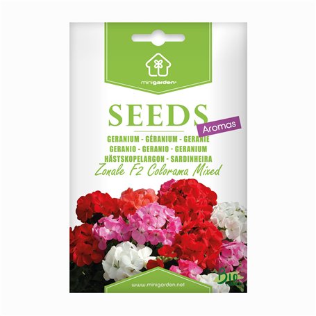Géranium "zonale F2 Colorama Mixed"