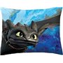 Euromat Dragons Parure de lit FURIE Eclair et Nocturne Housse De Couette How to Train Your Dragon HTTD-6050BL Bleu Blanc Noir 14