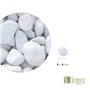Vegara Stone Pierre de jardin décoration galet blanc pur 2-4 cm (10 kg)