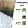 Vegara Stone Pierre de jardin décoration galet blanc pur 2-4 cm (10 kg)
