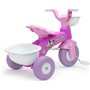 Tricycle Premiers Pas Minnie